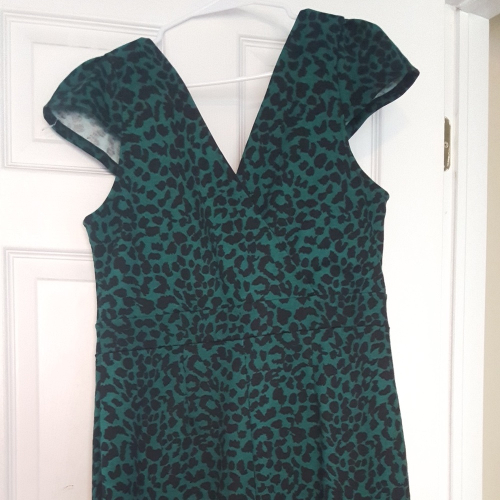 Leopard Print Curvy Dress